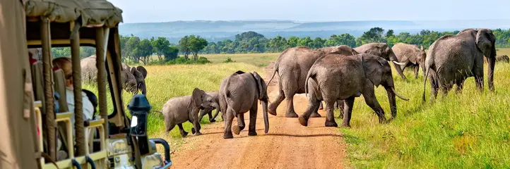 Kenia Classic