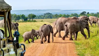 Kenia Classic