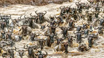 Kenia Classic