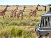 Kenia Classic