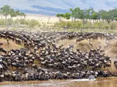 Kenia i Tanzania - W poszukiwaniu źródeł Nilu