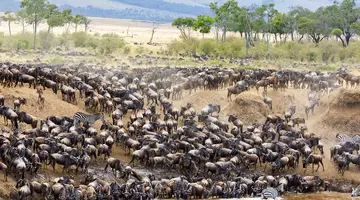 Kenia i Tanzania - W poszukiwaniu źródeł Nilu