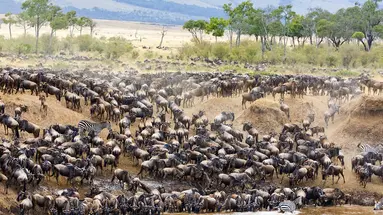 Kenia i Tanzania - W poszukiwaniu źródeł Nilu