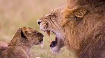 Kenia i Tanzania - W poszukiwaniu źródeł Nilu