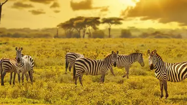 Kenia i Tanzania - W poszukiwaniu źródeł Nilu