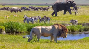 Kenia i Tanzania - W poszukiwaniu źródeł Nilu