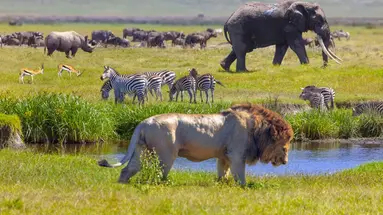 Kenia i Tanzania - W poszukiwaniu źródeł Nilu