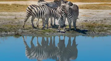 Kenia i Tanzania - W poszukiwaniu źródeł Nilu