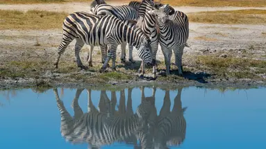 Kenia i Tanzania - W poszukiwaniu źródeł Nilu