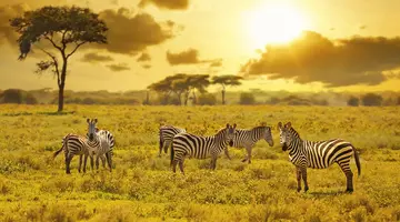 Kenia i Tanzania - W poszukiwaniu źródeł Nilu