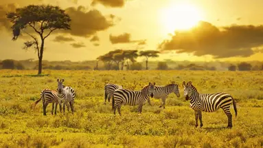 Kenia i Tanzania - W poszukiwaniu źródeł Nilu