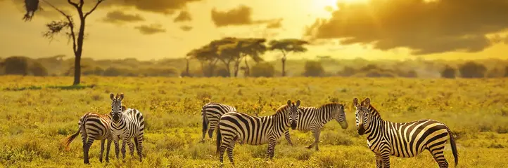 Kenia i Tanzania - W poszukiwaniu źródeł Nilu
