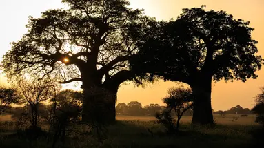 Kenia i Tanzania