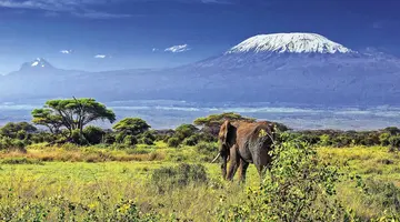 Kenia i Tanzania