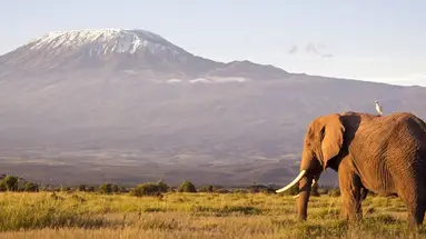 Kenia i Tanzania