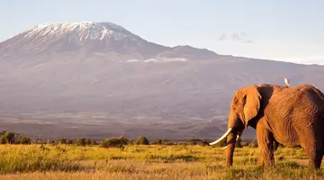 Kenia i Tanzania