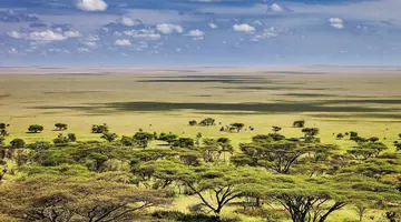 Kenia i Tanzania