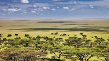 Kenia i Tanzania