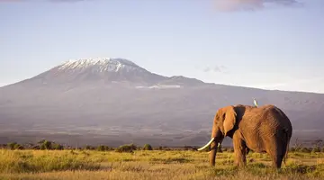 Kenia i Tanzania