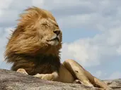 Kenia i Tanzania