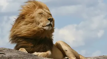 Kenia i Tanzania