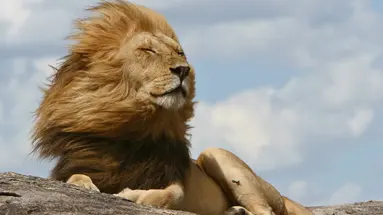 Kenia i Tanzania