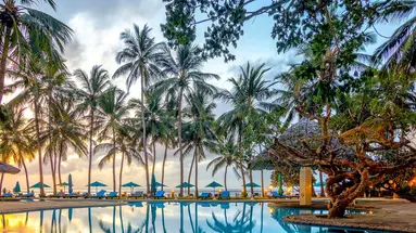 Kenijskie trio + Bamburi Beach 