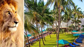 Kenijskie trio + Bamburi Beach