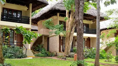 Kenijskie trio + Baobab Beach