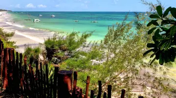 Kenijskie trio + Baobab Beach