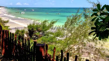 Kenijskie trio + Baobab Beach