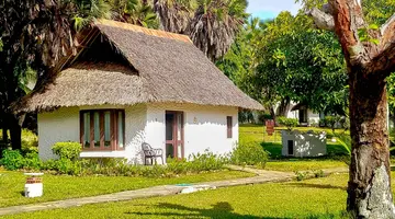 Kenijskie trio + Jacaranda Indian Ocean 