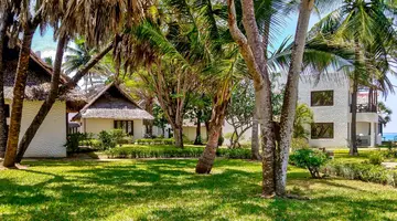 Kenijskie trio + Jacaranda Indian Ocean 