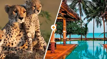 Kenijskie trio + Neptune Village Resort