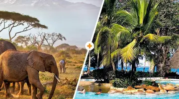 Kenijskie Trio + Papillon Lagoon Reef 