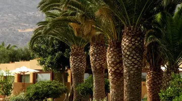 KERNOS BEACH