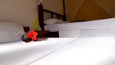 Kigwedeni Villas Zanzibar