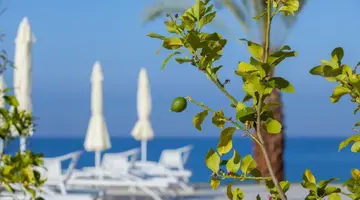 King Evelthon Beach Hotel