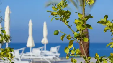 King Evelthon Beach Hotel