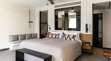 King Jason Zante - Designed for Adults