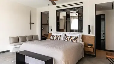 King Jason Zante - Designed for Adults