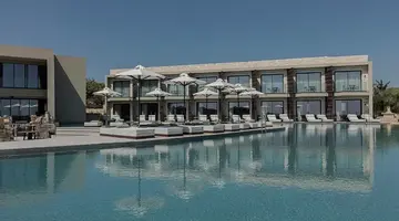 King Jason Zante - Designed for Adults