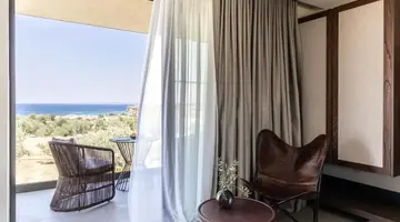 King Jason Zante - Designed for Adults