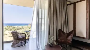 King Jason Zante - Designed for Adults