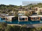 King Jason Zante - Designed for Adults