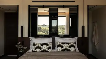 King Jason Zante - Designed for Adults