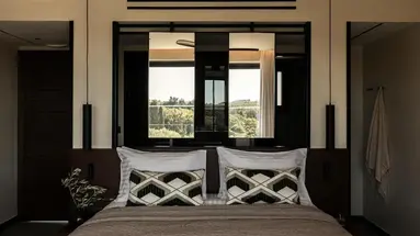 King Jason Zante - Designed for Adults