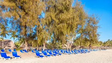 Kiwengwa Beach Resort