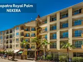 KLEOPATRA ROYAL PALM