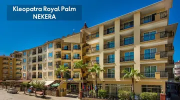 KLEOPATRA ROYAL PALM